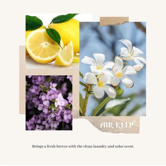 Clean Linen Reed Diffuser - White - Picture 6 of 9